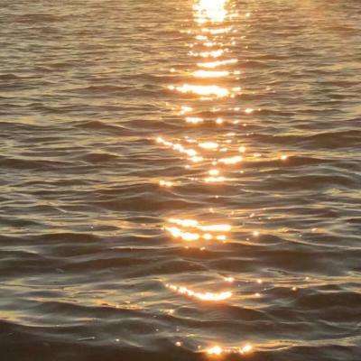 可以上下分捕鱼app下载手机版